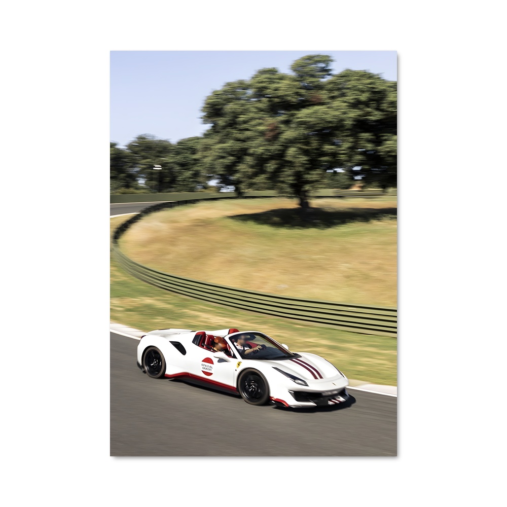 Poster pista de spider